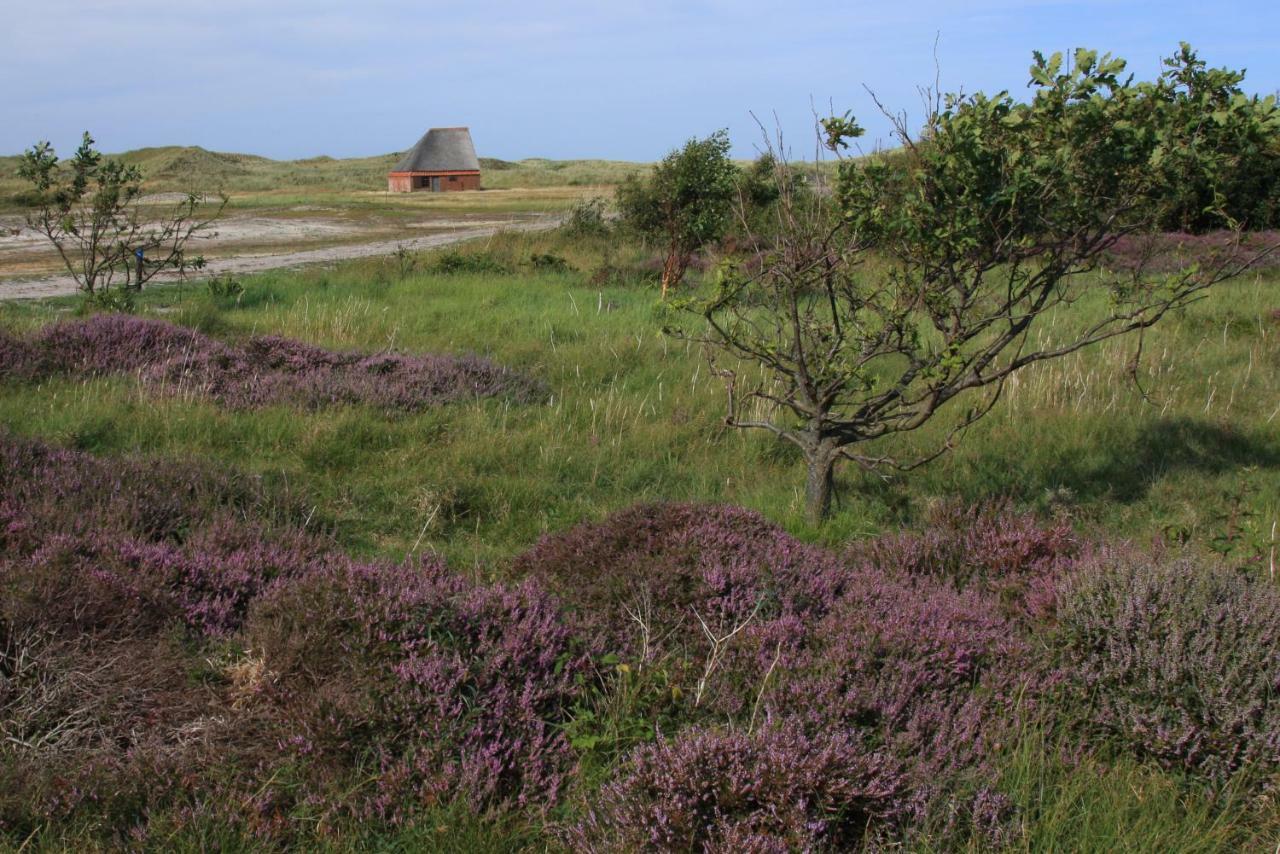 'T Lant Van Texsel De Koog  Bagian luar foto