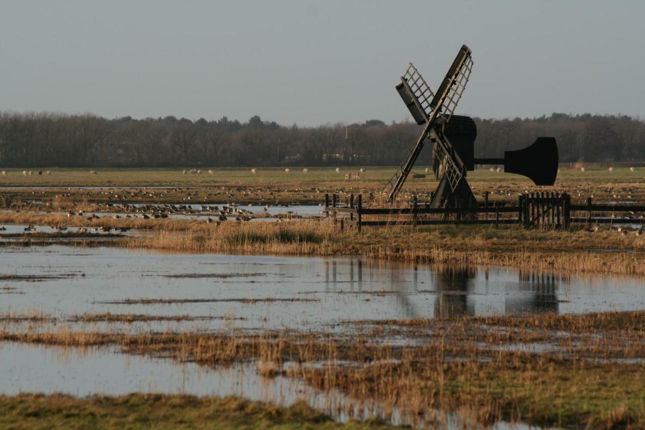 'T Lant Van Texsel De Koog  Bagian luar foto