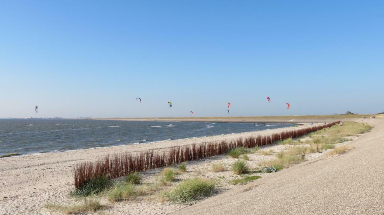 'T Lant Van Texsel De Koog  Bagian luar foto