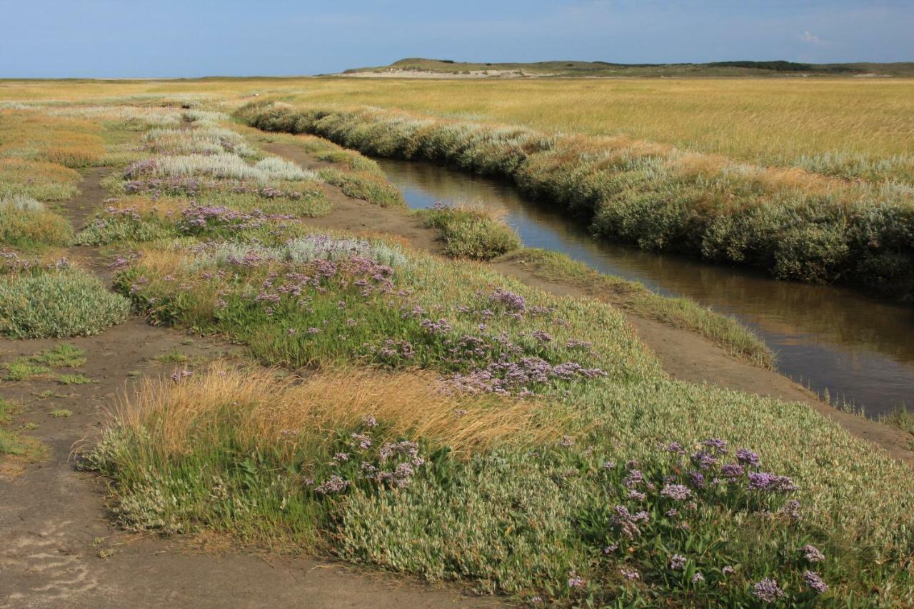 'T Lant Van Texsel De Koog  Bagian luar foto